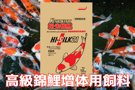 CZ87_【高級錦鯉】増体用飼料 絹光観鯉 増体 沈下性 10kg×2袋(1箱) ※離島への配送不可 ※着日指定不可