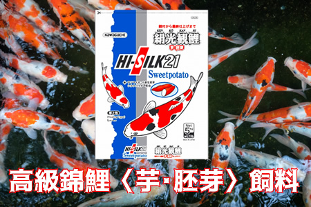 CZ88_【高級錦鯉】常食用飼料 絹光観鯉〈サツマイモ・小麦生胚芽〉浮上性 5kg×4袋(1箱) ※離島への配送不可 ※着日指定不可