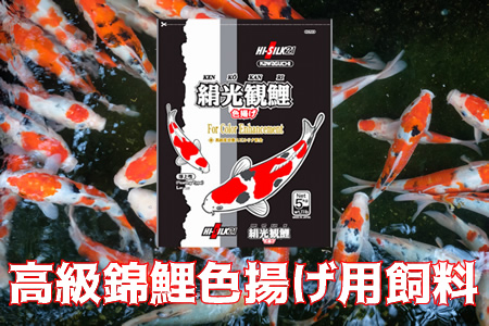 CZ89_【高級錦鯉】色揚げ用飼料 絹光観鯉 浮上性 5kg×4袋(1箱) ※離島への配送不可 ※着日指定不可