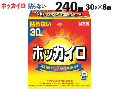 DJ02_240個 ホッカイロ 貼らないレギュラー 30P×8個 ※離島への配送不可