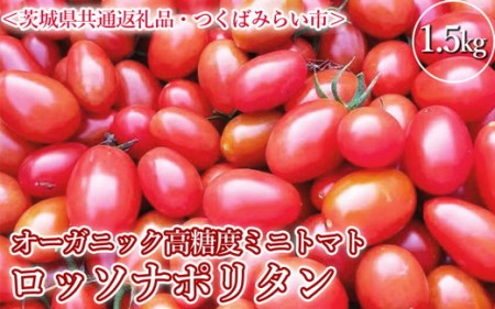 DM03_オーガニック高糖度ミニトマト「ロッソナポリタン」【農薬・肥料