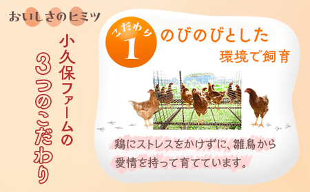 小久保ファーム　濃厚卵黄　産みたてたまご　赤玉30個入り（M玉）_EI01