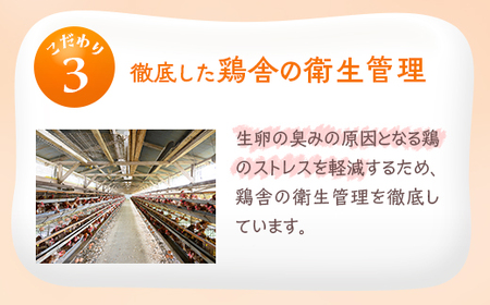 小久保ファーム　濃厚卵黄　産みたてたまご　赤玉30個入り（M玉）_EI01