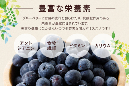 【 2026年 先行予約 】元気に育った ブルーベリー 1kg 冷凍 ( 500g 4パック ) 農薬 栽培期間中 不使用 果物 フルーツ 1キロ 手摘み 急速冷凍 国産 産地直送 農家直送 産直 夏 7月 以降 発送 くだもの スムージー ジャム ヨーグルト デザート 茨城 茨城県 石岡市 (A11-008)