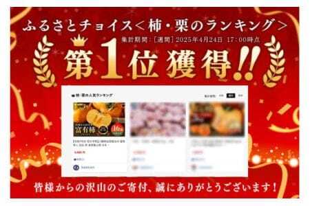 【2026年 先行予約】八郷柿出荷組合の 富有柿 L 16玉 柿 皇室献上柿 かき 富有カキ ( 1箱 ) 果物 フルーツ くだもの カキ 富有かき 秋 旬 高級 糖度 贈答用 贈答品 ギフト 贈り物 品種 ブランド 11月 12月 発送 産地直送 農家直送 産直 茨城県 石岡市 (A21-002)