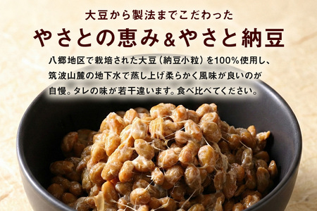 これがやさとの恵みだ&やさと納豆 24食 セット 八郷産 大豆 100％ 小粒 納豆 食べ比べセット 食べ比べ 納豆ごはん 納豆巻き 環境に優しい紙パック 茨城県 石岡市 (A36-001)