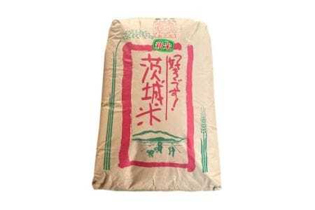 【令和7年産】獅子米 コシヒカリ 玄米 30kg（精米可） 岡田ファーム コンテスト受賞米 お米 米 おこめ ブランド米 こしひかり 30キロ 国産 単一原料米 コメ こめ ご飯 銘柄米 茨城県産 茨城 産直 産地直送 農家直送 ごはん 家庭用 贈答用 お取り寄せ ギフト 茨城県 石岡市 (B02-004)