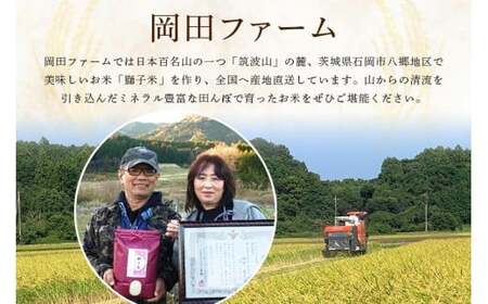 【令和7年産】獅子米 コシヒカリ 玄米 30kg（精米可） 岡田ファーム コンテスト受賞米 お米 米 おこめ ブランド米 こしひかり 30キロ 国産 単一原料米 コメ こめ ご飯 銘柄米 茨城県産 茨城 産直 産地直送 農家直送 ごはん 家庭用 贈答用 お取り寄せ ギフト 茨城県 石岡市 (B02-004)