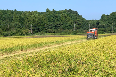 【令和7年産】獅子米 コシヒカリ 玄米 30kg（精米可） 岡田ファーム コンテスト受賞米 お米 米 おこめ ブランド米 こしひかり 30キロ 国産 単一原料米 コメ こめ ご飯 銘柄米 茨城県産 茨城 産直 産地直送 農家直送 ごはん 家庭用 贈答用 お取り寄せ ギフト 茨城県 石岡市 (B02-004)