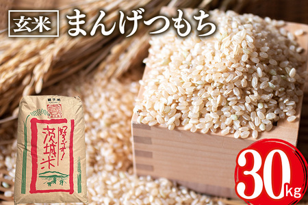 まんげつもち 玄米 30kg 岡田ファーム もち米 マンゲツモチ お米 もち 米 モチ 30キロ 国産 餅 こめ コメ 茨城県産 茨城 産直 産地直送 農家直送 おこわ 団子 餅米 玄米もち米 精米もち米 餅つき 年末年始 満月もち 家庭用 贈答用 茨城県 石岡市 (B02-023)