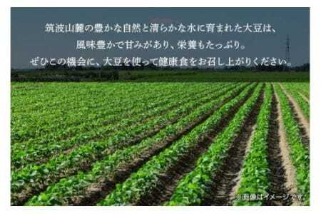 大豆 5kg 極小粒 岡田ファーム だいず ダイズ 国産 小粒 料理 煮豆 豆乳 納豆 用途多彩 健康食品 高たんぱく 保存食 産地直送 送料無料 (B02-024)
