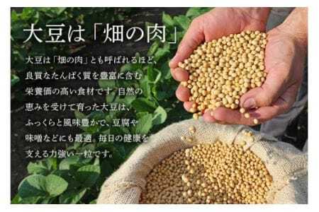 大豆 5kg 極小粒 岡田ファーム だいず ダイズ 国産 小粒 料理 煮豆 豆乳 納豆 用途多彩 健康食品 高たんぱく 保存食 産地直送 送料無料 (B02-024)