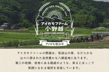 【令和7年産】有機 コシヒカリ 玄米 10kg 有機栽培 有機米 特別栽培米 合鴨農法 こしひかり お米 米 おこめ ブランド米 こしひかり 10キロ 国産 単一原料米 コメ こめ ご飯 銘柄米 茨城県産 茨城 産直 産地直送 農家直送 ごはん 家庭用 贈答用 茨城県 石岡市 (B03-004)