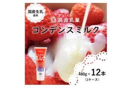【大容量】 コンデンスミルクチューブ 480g × 12本 ( 加糖練乳 ) 練乳 コンデンスミルク いちご かき氷 大容量 アイス パン スイーツ 朝食 お菓子 トースト 贅沢な味わい 乳業メーカー 筑波乳業 茨城県 石岡市 (E18-002)