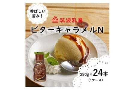 【大容量】ビターキャラメル N 290g x 24本 ビター アイス アイスクリーム 大容量 キャラメルソース 香料不使用 甘さ控えめ スイーツ パン 朝食 お菓子 トースト 贅沢な味わい 乳業メーカー 筑波乳業 茨城県 石岡市 (E18-004)