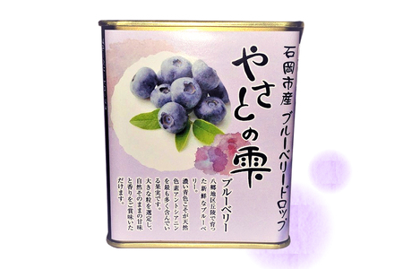 やさとの雫 ドロップ 85g×4個 柿 ブルーベリー いちご 福来みかん 梨 マスカット 選べる 飴 お茶請け お菓子 お茶うけ 常温保存 ギフト プレゼント 贈答用 贈答品 茨城県 石岡市 (F02-001)