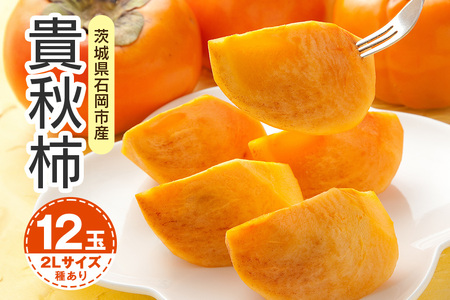 【 2026年 先行予約 】 貴秋柿 2L 12玉 （鈴木柿園） 柿 甘い柿 糖度高い 貴秋かき 大玉 カキ 甘い 果物 フルーツ くだもの カキ 貴秋かき 秋 旬 甘柿 贈答用 贈答品 ギフト 贈り物 品種 ブランド 10月 11月 発送 産地直送 農家直送 産直 茨城県 石岡市 (A08-004)