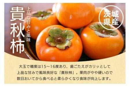 【 2026年 先行予約 】 貴秋柿 2L 12玉 （鈴木柿園） 柿 甘い柿 糖度高い 貴秋かき 大玉 カキ 甘い 果物 フルーツ くだもの カキ 貴秋かき 秋 旬 甘柿 贈答用 贈答品 ギフト 贈り物 品種 ブランド 10月 11月 発送 産地直送 農家直送 産直 茨城県 石岡市 (A08-004)