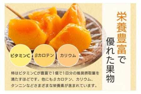 【 2026年 先行予約 】 貴秋柿 2L 12玉 （鈴木柿園） 柿 甘い柿 糖度高い 貴秋かき 大玉 カキ 甘い 果物 フルーツ くだもの カキ 貴秋かき 秋 旬 甘柿 贈答用 贈答品 ギフト 贈り物 品種 ブランド 10月 11月 発送 産地直送 農家直送 産直 茨城県 石岡市 (A08-004)