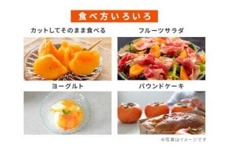  富有柿 2L 14玉 1段箱 坂川果樹園 柿 甘い柿 かき 富有カキ 甘い 果物 フルーツ くだもの カキ 富有かき 秋 旬 甘柿 糖度 贈答用 贈答品 ギフト 贈り物 品種 ブランド 11月 12月 発送 産地直送 農家直送 産直 茨城県 石岡市 (A20-001)