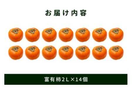  富有柿 2L 14玉 1段箱 坂川果樹園 柿 甘い柿 かき 富有カキ 甘い 果物 フルーツ くだもの カキ 富有かき 秋 旬 甘柿 糖度 贈答用 贈答品 ギフト 贈り物 品種 ブランド 11月 12月 発送 産地直送 農家直送 産直 茨城県 石岡市 (A20-001)