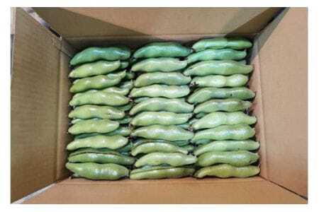 ソラマメ 4kg そら豆 空豆 産地直送 野菜 冷蔵便 新鮮 国産 茨城県産 季節限定 フレッシュ ベジタブル 豆 まめ そらまめ 農園直送 国産 家庭用 ギフト おつまみ 茨城県 石岡市 (A33-001)