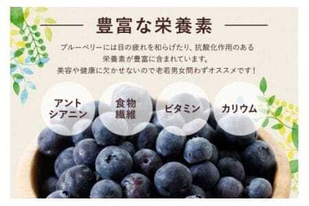 【 2026年 先行予約 】元気に育った ブルーベリー 600g 生 ( 300g 2パック ) 農薬 栽培期間中 不使用 果物 フルーツ 新鮮 手摘み 国産 産地直送 農家直送 産直 個包装 小分け くだもの スムージー ジャム ヨーグルト デザート 茨城 茨城県 石岡市 (A11-001)