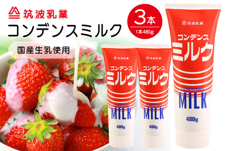 コンデンスミルク 3点 セット 練乳 加糖練乳 480g x3本 業務用 まとめ買い 朝食 製菓 デザート イチゴ いちご かき氷 にかける 家庭用 茨城県 石岡市 G15-007