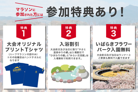 SKYMARK Presents 第3回石岡つくばねハーフマラソン Live every moment! ハーフマラソンの部 出走権 G08-002