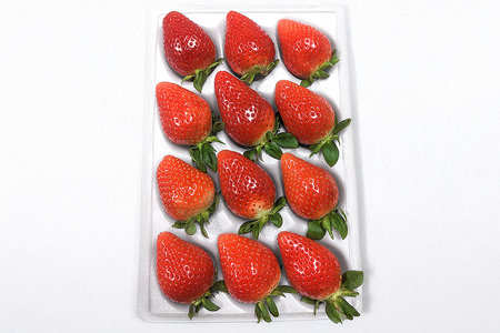 特選12玉　いばらキッス いちご イチゴ フルーツ 果物 茨城県 石岡市 A32-018