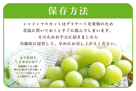 【2026年先行予約】石岡市産 シャインマスカット 700～750g 2房 果物 フルーツ くだもの 茨城県 石岡市【FN-Limited-SP】A38-003　　
