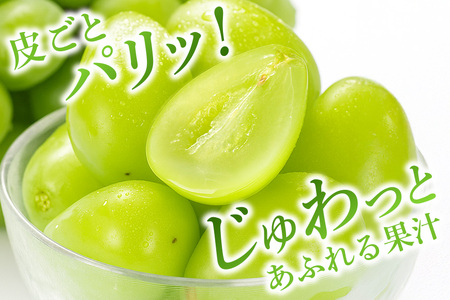 【2026年先行予約】石岡市産 シャインマスカット 500～550g 2房 果物 フルーツ くだもの 茨城県 石岡市【FN-Limited-SP】A38-004