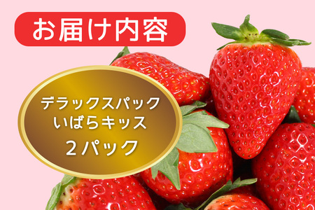 【2026年先行予約】デラックスパック いばらキッス 2p いちご イチゴ 苺 果物 フルーツ くだもの 茨城県 石岡市 A32-021