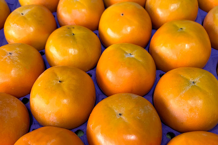 【2026年先行予約】富有柿 L 16玉 柿 カキ かき フルーツ 果物 くだもの 産地直送 茨城県 石岡市 A45-001