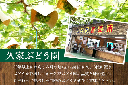 【2026年先行予約】ぶどう 定期便 3回 葡萄 ブドウ フルーツ 果物 くだもの 産地直送 茨城県 石岡市 A04-010