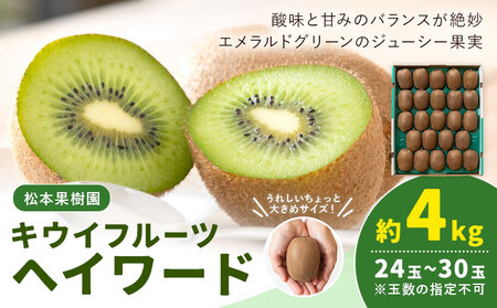 キウイフルーツ ヘイワード 約4kg 松本果樹園《12月中旬-1月末頃出荷》茨城県結城市キウイキウイキウイキウイ