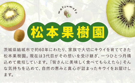 キウイフルーツ ヘイワード 約4kg 松本果樹園《12月中旬-1月末頃出荷》茨城県結城市キウイキウイキウイキウイ
