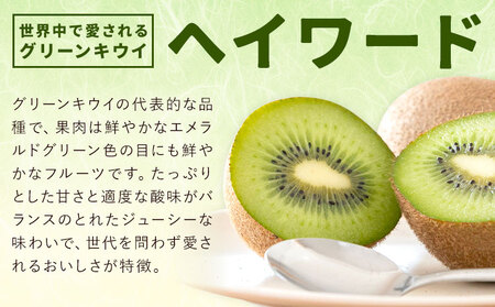 キウイフルーツ ヘイワード 約4kg 松本果樹園《12月中旬-1月末頃出荷》茨城県結城市キウイキウイキウイキウイ