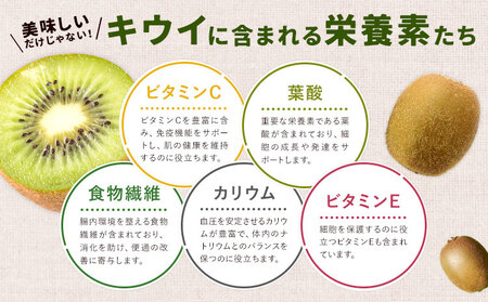 キウイフルーツ ヘイワード 約4kg 松本果樹園《12月中旬-1月末頃出荷》茨城県結城市キウイキウイキウイキウイ