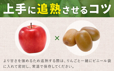 キウイフルーツ ヘイワード 約4kg 松本果樹園《12月中旬-1月末頃出荷》茨城県結城市キウイキウイキウイキウイ