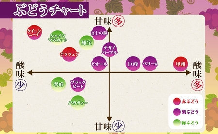 クイーンニーナ 1房 約500～600g 葡萄 ブドウ ぶどう 赤ぶどう 大粒 種なし 甘い フルーツ 果物 産地直送 新鮮 ジューシー お取り寄せ ギフト 国産 茨城県結城市