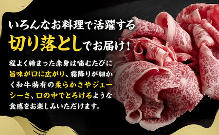 牛肉切り落とし1.2kg茨城県結城市東和食品《30日以内に出荷予定(土日祝除く) 》切り落とし【配送不可地域あり】
