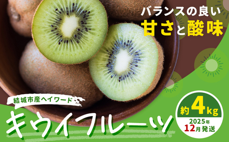 キウイフルーツ4kg《2025年12月上旬-12月末頃出荷》果物フルーツ贈り物お取り寄せフルーツ