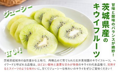 キウイフルーツ4kg《2025年12月上旬-12月末頃出荷》果物フルーツ贈り物お取り寄せフルーツ