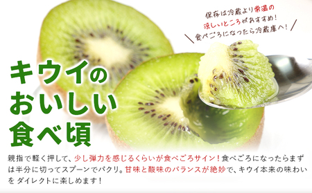 キウイフルーツ4kg《2025年12月上旬-12月末頃出荷》果物フルーツ贈り物お取り寄せフルーツ