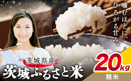 米20kg白米《1月中旬-2月末頃出荷》おこめ