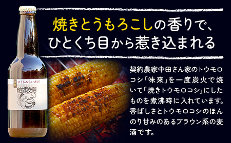 ビール ゆうきみらいエール 330ml × 3本 株式会社結城麦酒《30日以内に出荷予定(土日祝除く)》茨城県 結城市 ビール 酒 エール クラフトビール 瓶 国産