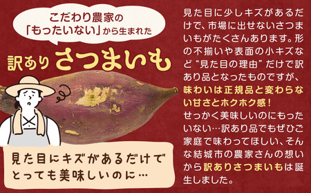 茨城県産 さつまいも こだわり農家の訳ありさつまいも 茨城県結城市産 サイズ不選別 品種おまかせ 約10kg 《1月上旬-3月上旬頃出荷》茨城県 結城市 ご家庭用 お芋 訳あり 紅はるか シルクスイート あまはずき 栗かぐや 品種 お任せ いも 芋