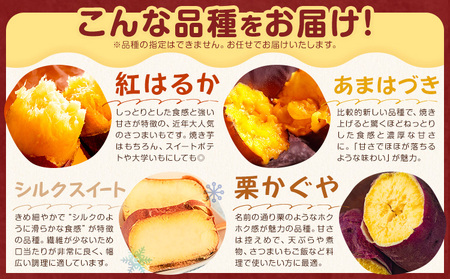 茨城県産 さつまいも こだわり農家の訳ありさつまいも 茨城県結城市産 サイズ不選別 品種おまかせ 約10kg 《1月上旬-3月上旬頃出荷》茨城県 結城市 ご家庭用 お芋 訳あり 紅はるか シルクスイート あまはずき 栗かぐや 品種 お任せ いも 芋