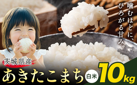 米 あきたこまち 白米 茨城 ふるさと米 10kg《2月中旬-3月末頃出荷》 茨城県 結城市 米 国産 お米 おこめ お弁当 おにぎり 24,500円